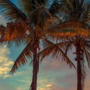 Meet your Posher, Genesis